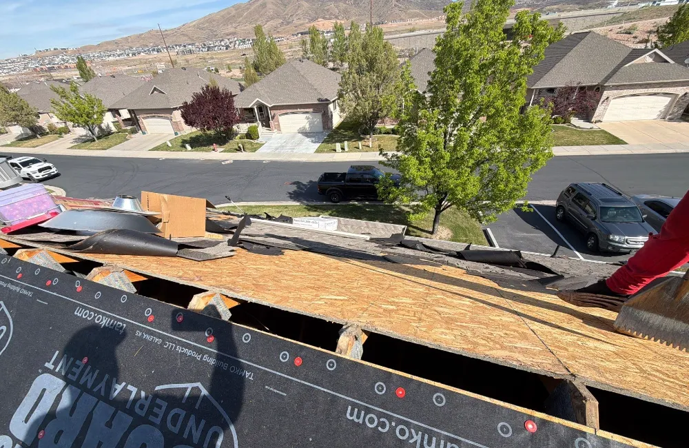 Roof Decking