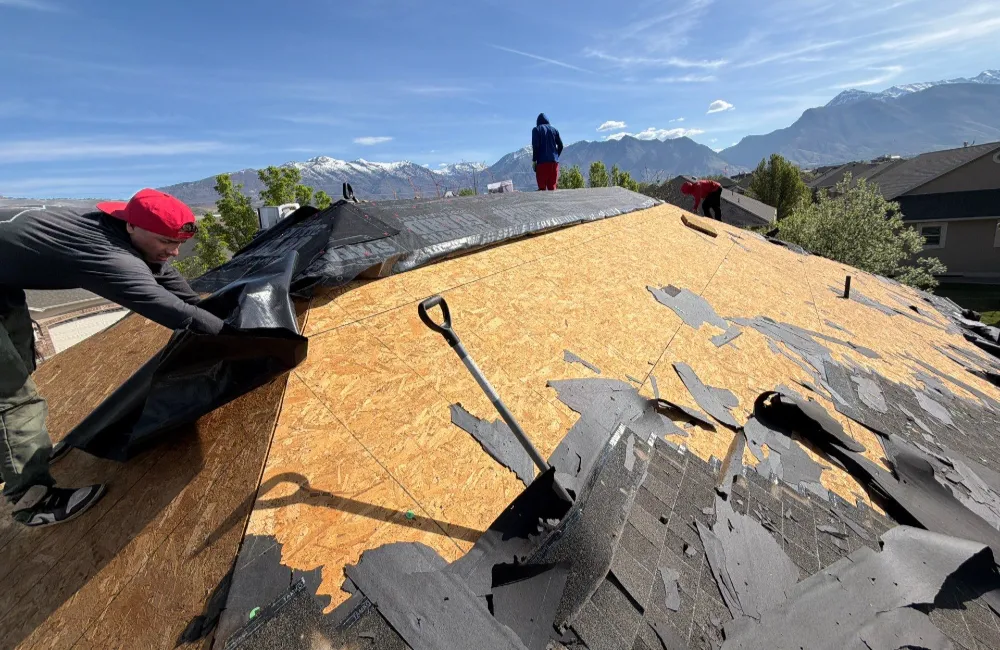 Roof Removal