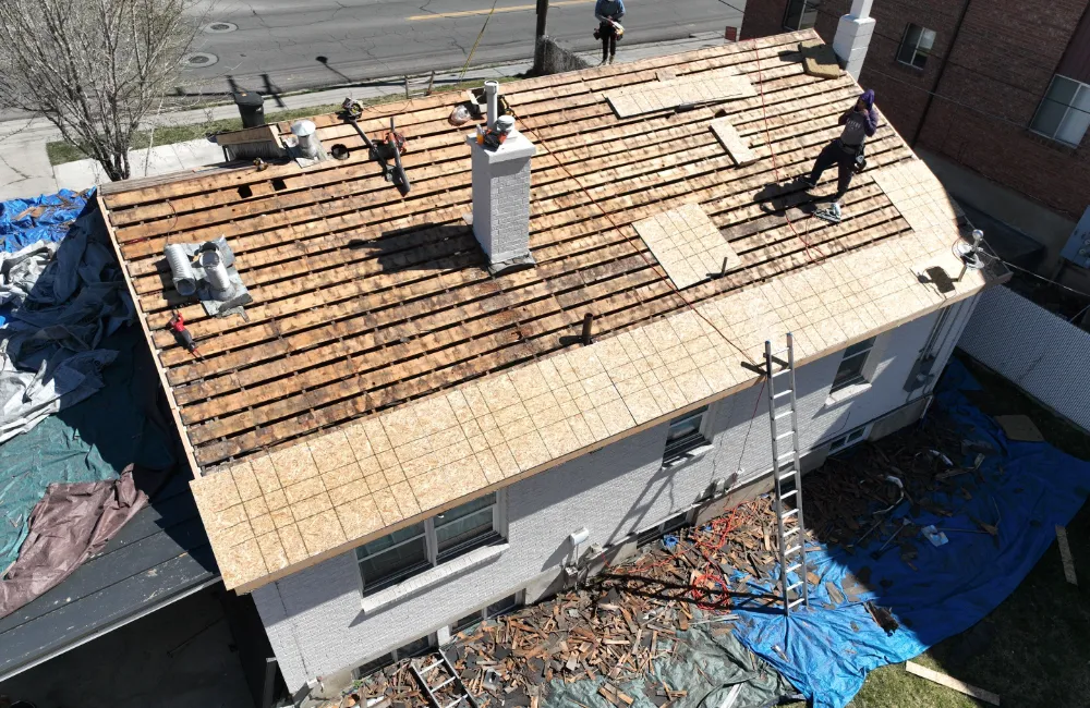 Home Roof Replacement Experts