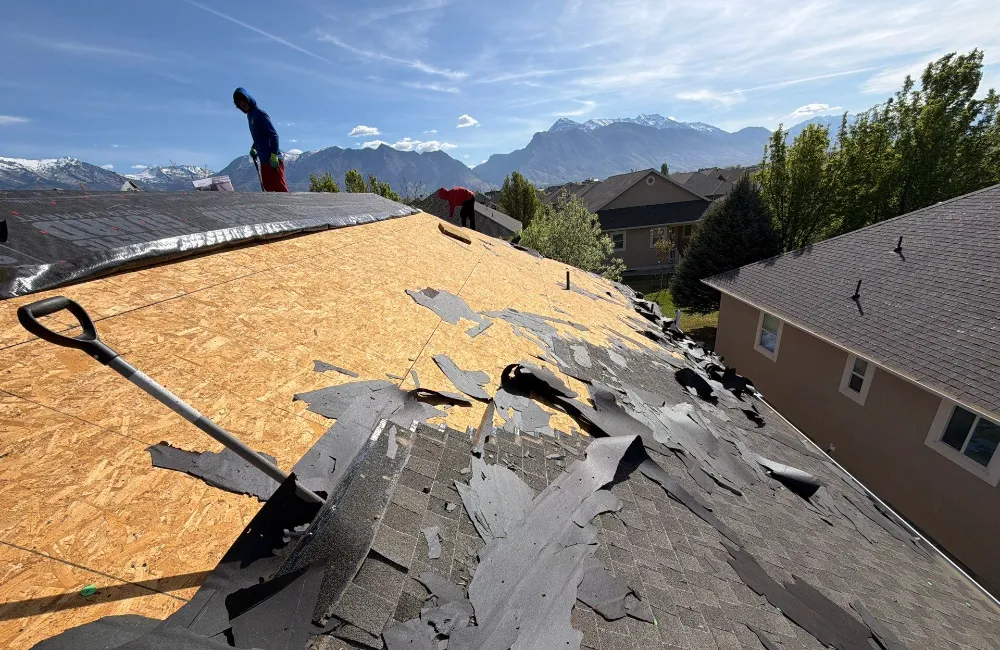 Roof Replacement