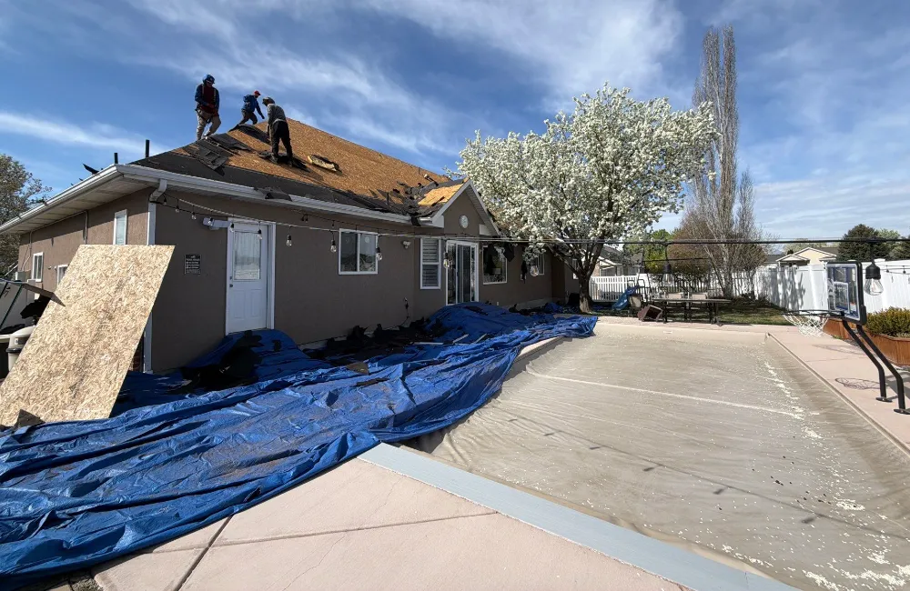 Asphalt Roof Damage Repair