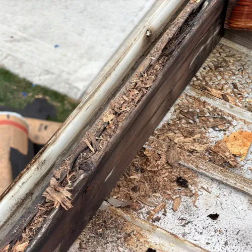 Professional Asphalt Roof Repairs