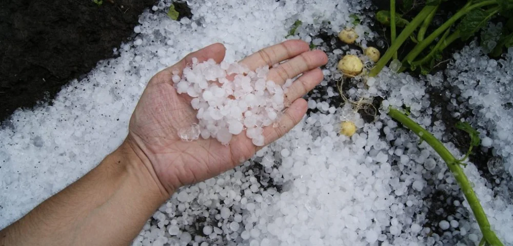 Roof Damage from Hail